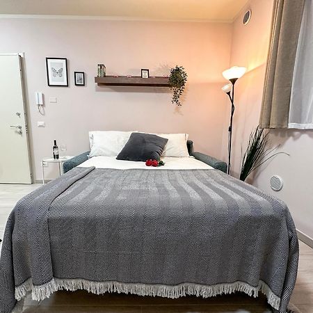 La Rosa Dei Venti Con Parcheggio E Ampio Giardino In Centro Leilighet Lucca Eksteriør bilde